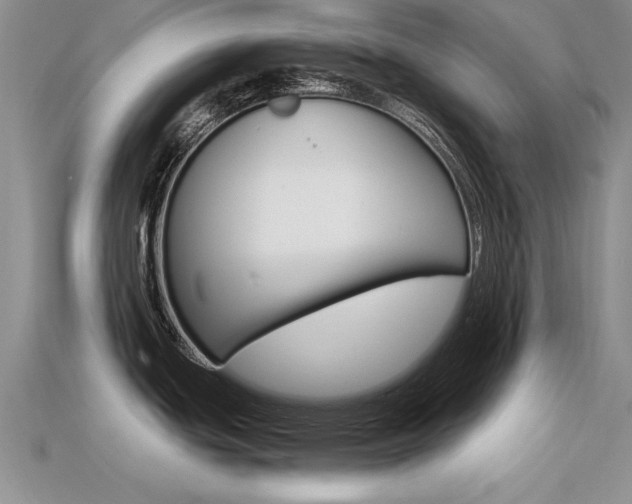 X0000113561439200909181011