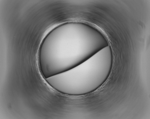 X0000113561440200909181011