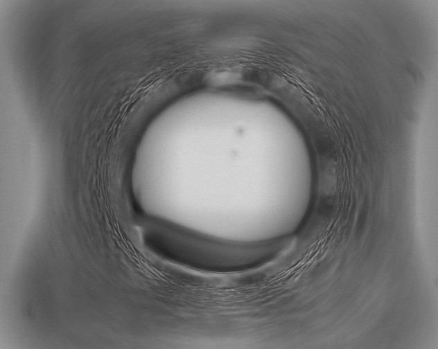 X0000113561441200909181011