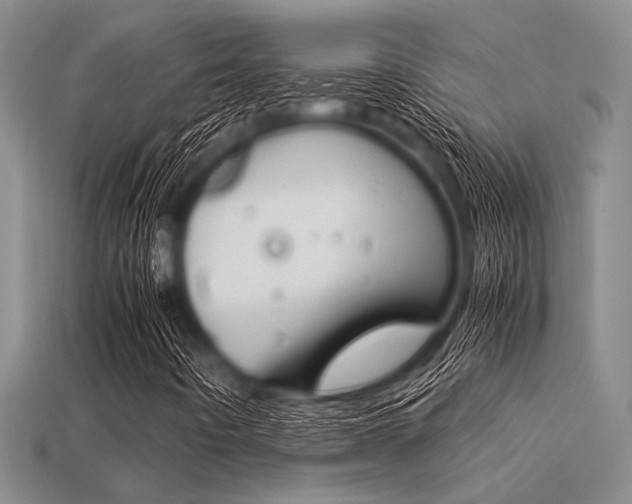 X0000113561442200909181011