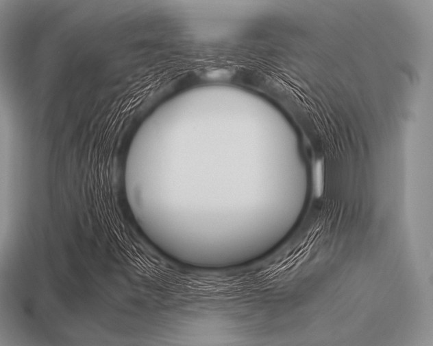 X0000113561443200909181010