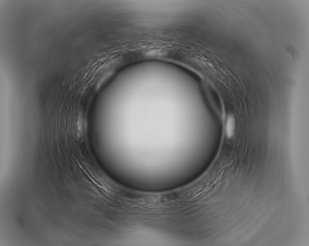 X0000113561444200909181010