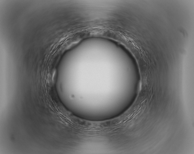 X0000113561445200909181010
