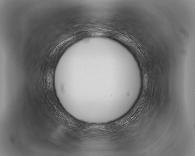 X0000113561446200909181010