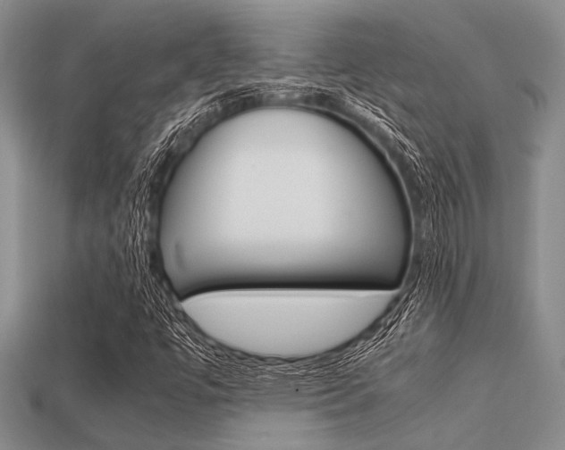 X0000113561447200909181010