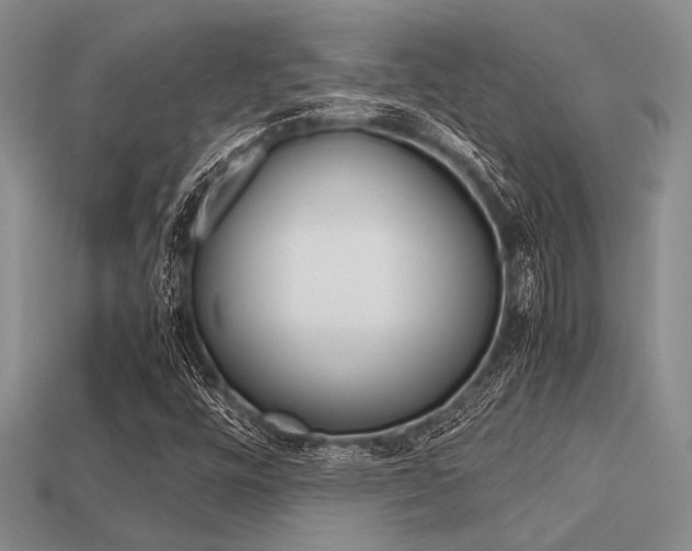 X0000113561448200909181010