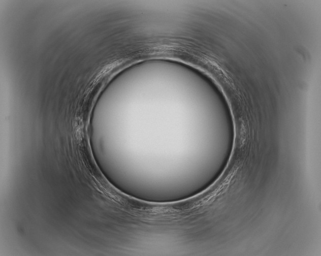 X0000113561449200909181010