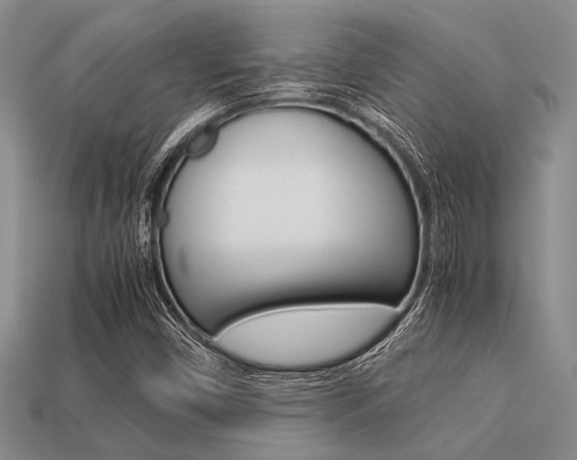 X0000113561450200909181010