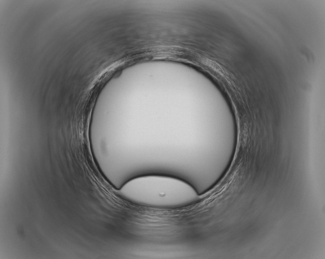 X0000113561451200909181010