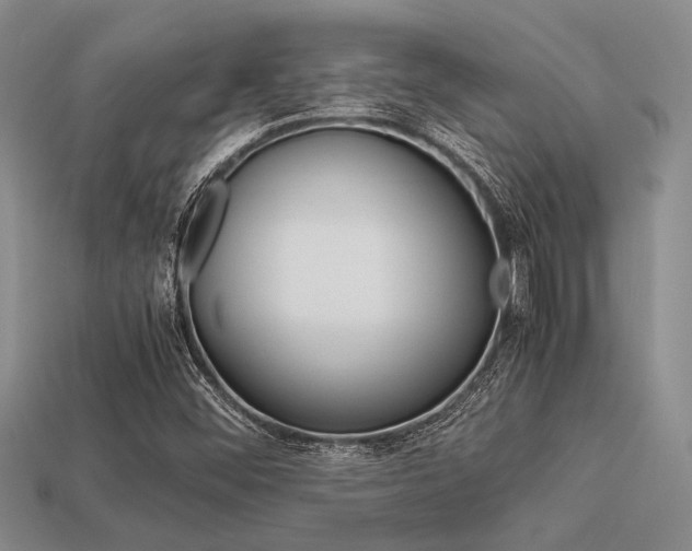 X0000113561452200909181010