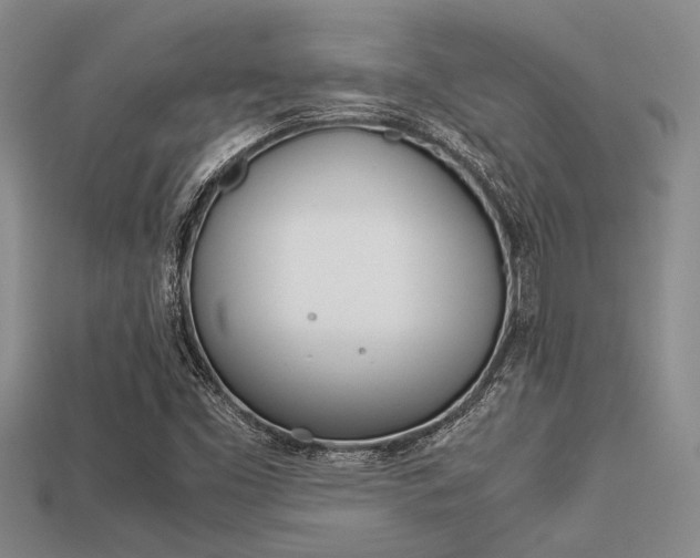 X0000113561453200909181010