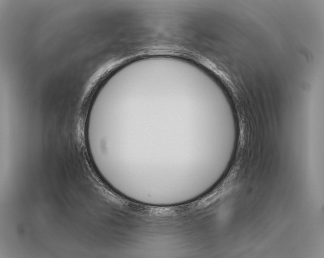 X0000113561454200909181010