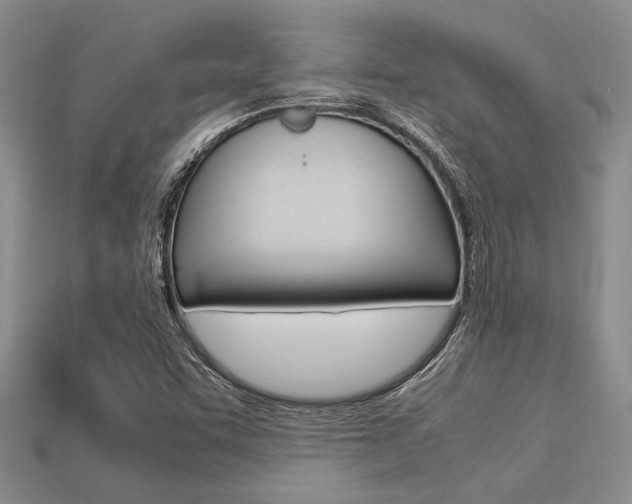 X0000113561455200909181010