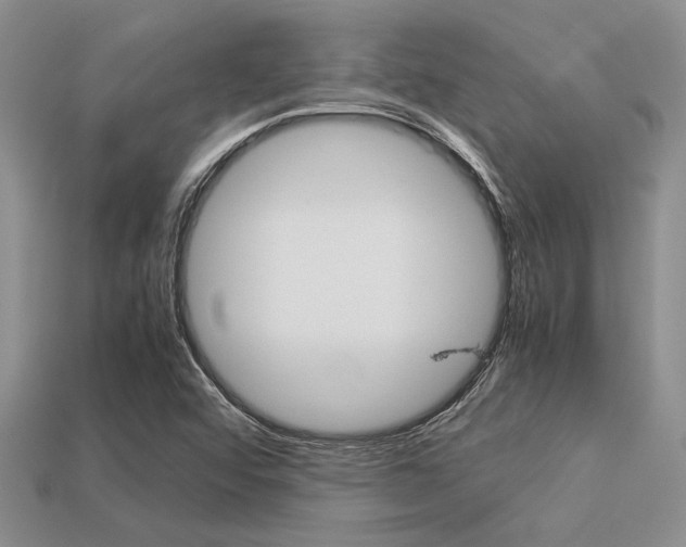 X0000113561456200909181010