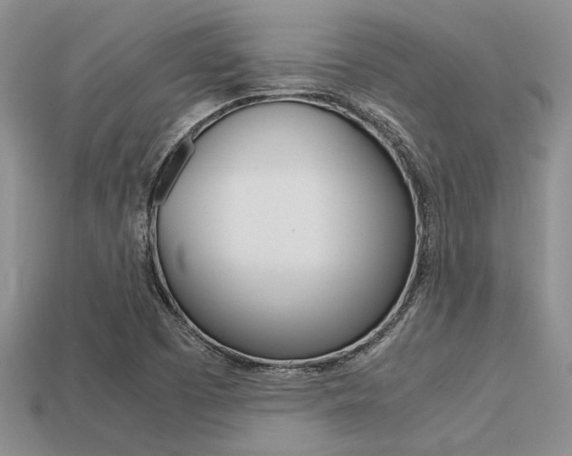 X0000113561457200909181010