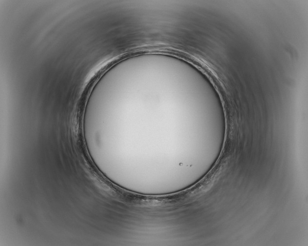 X0000113561458200909181010