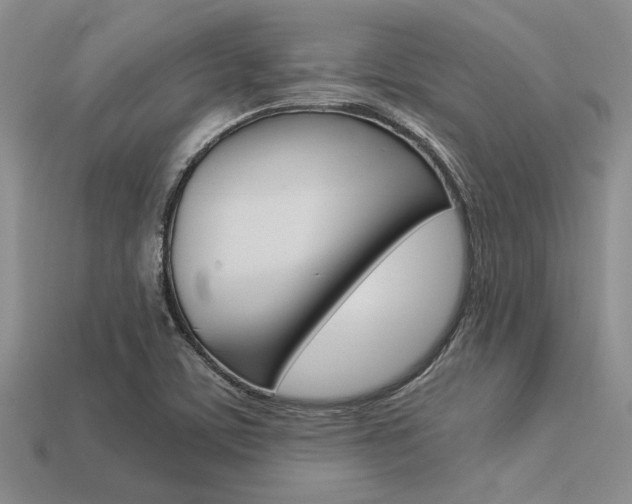 X0000113561459200909181010