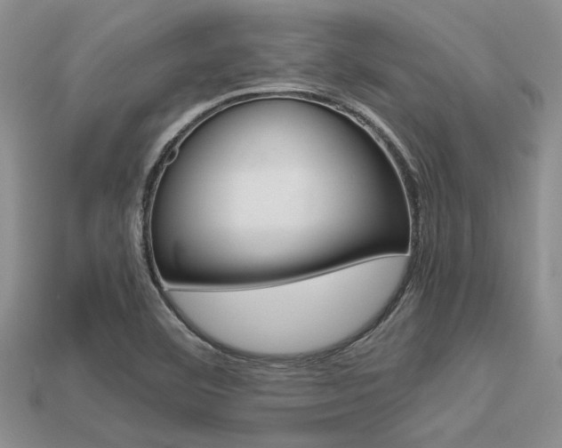X0000113561460200909181010