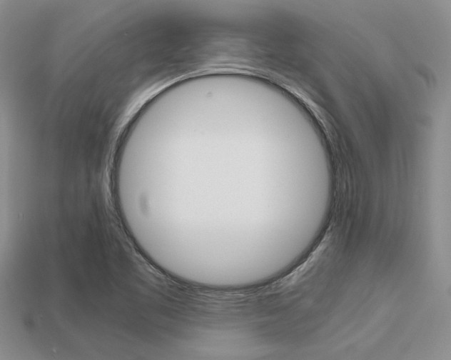 X0000113561461200909181010