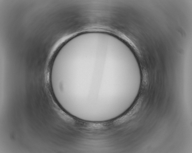 X0000113561462200909181010