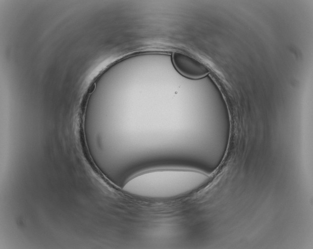 X0000113561463200909181010
