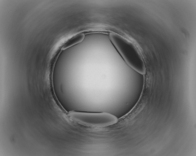 X0000113561464200909181010