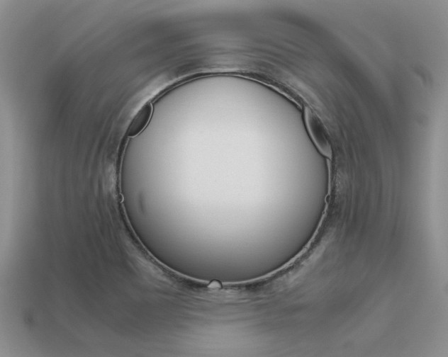 X0000113561465200909181010