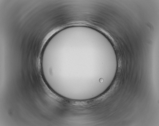 X0000113561466200909181010