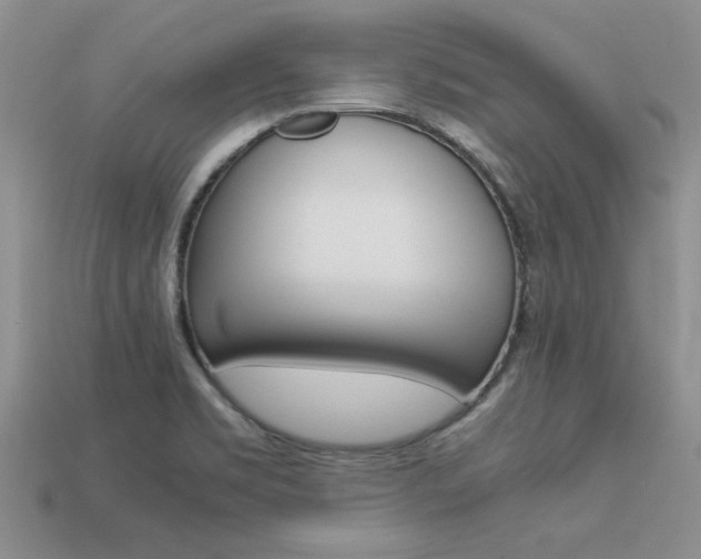 X0000113561469200909181010