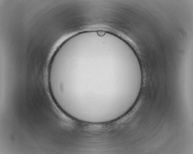 X0000113561470200909181010