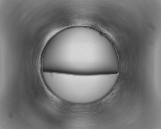 X0000113561471200909181010