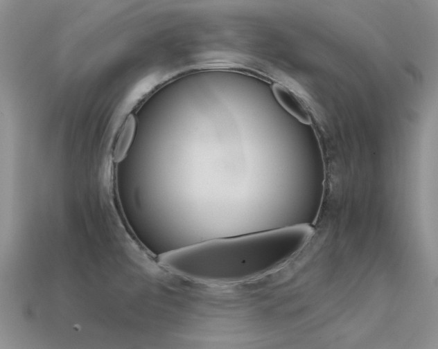 X0000113561472200909181010