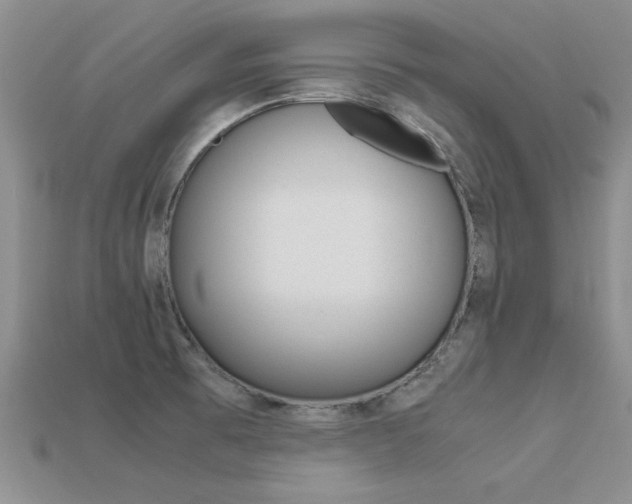 X0000113561473200909181010