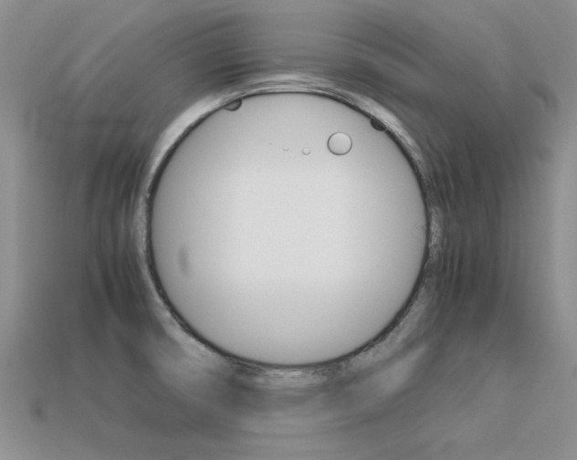 X0000113561474200909181010