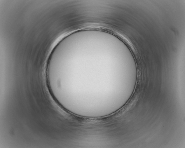X0000113561475200909181010