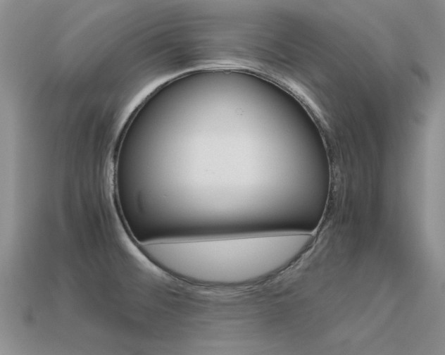 X0000113561476200909181010