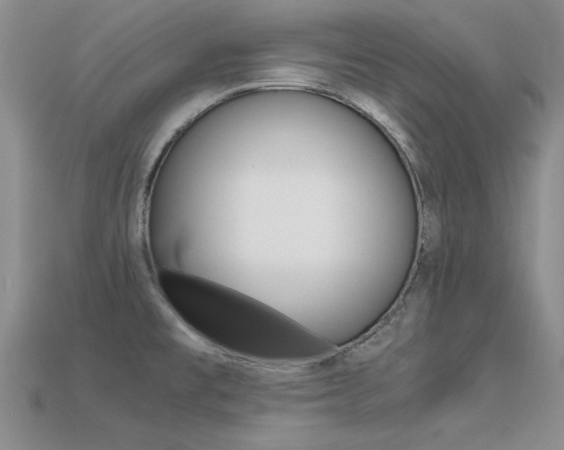 X0000113561477200909181010