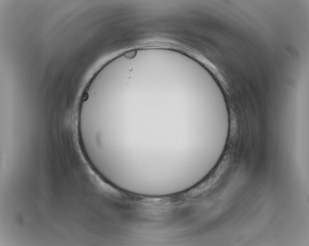 X0000113561478200909181010
