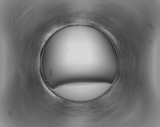 X0000113561479200909181010