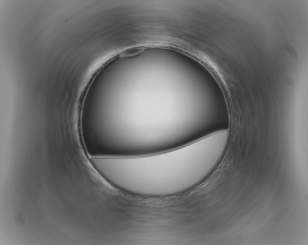 X0000113561480200909181010