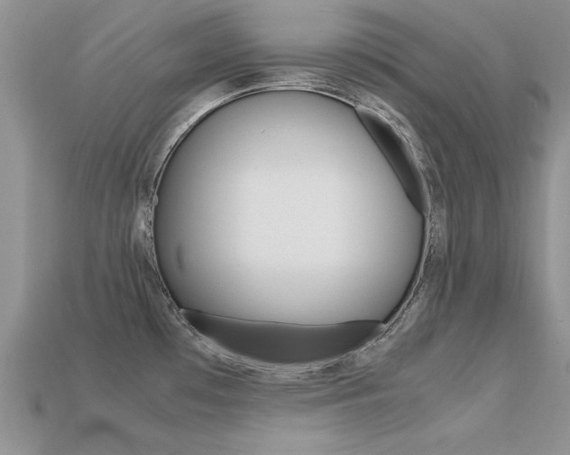X0000113561481200909181010