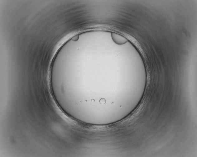 X0000113561482200909181010