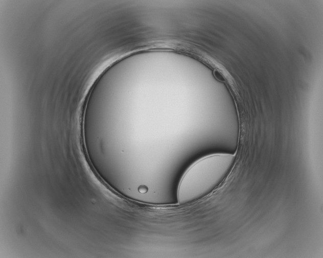 X0000113561483200909181010