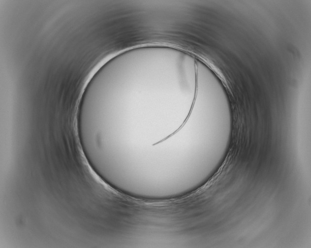X0000113561484200909181010