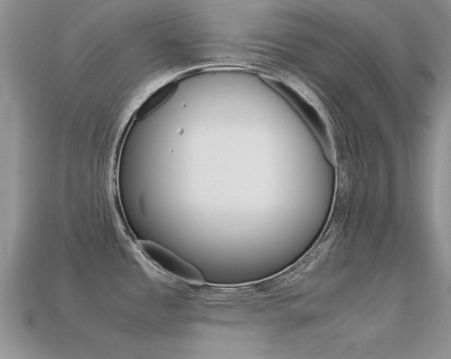 X0000113561485200909181010