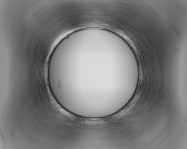 X0000113561486200909181010