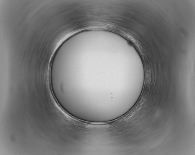 X0000113561487200909181010