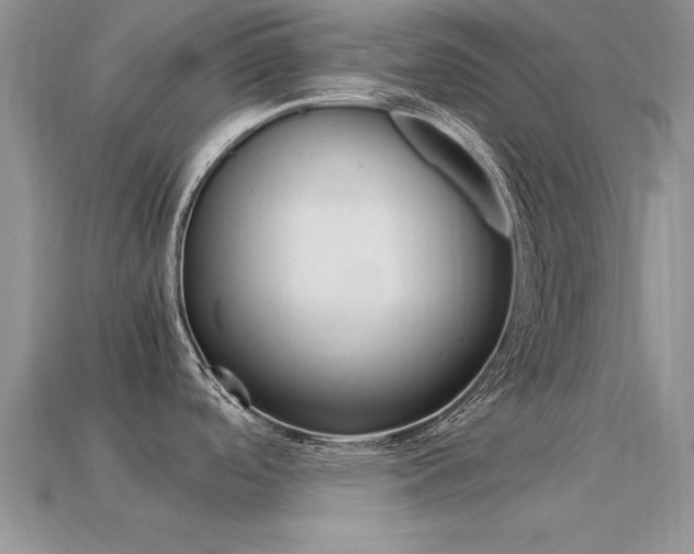 X0000113561488200909181010