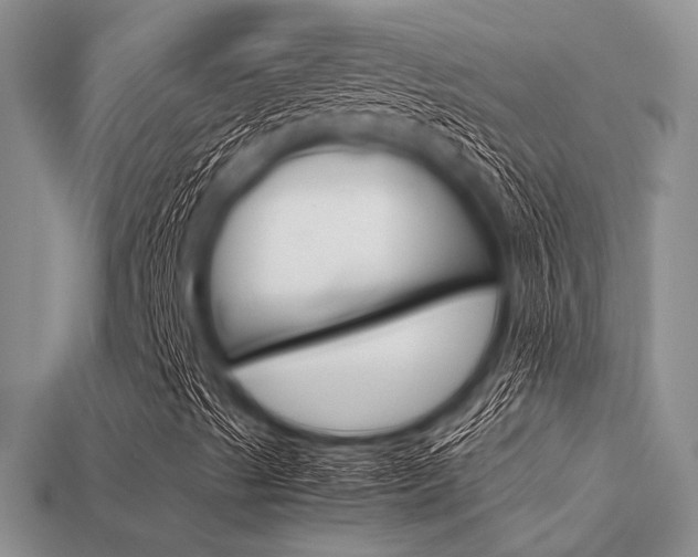 X0000113561489200909181009