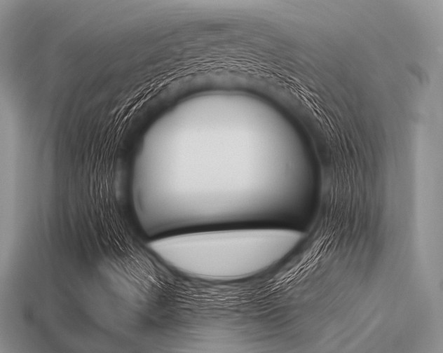 X0000113561490200909181009